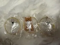 わんこのタイムカプセルガチャ　ペットの毛収納