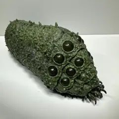 新品】三鷹の森ジブリ美術館オリジナル 王蟲 青眼 - メルカリ