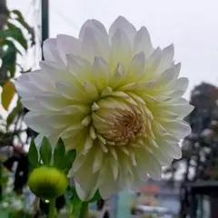 より717様 リクエスト 4点 まとめ商品