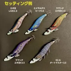 最終値下げ　ティップランエギセット ティップランエギ セット 引退 【楽天市場】ティップラン エギ