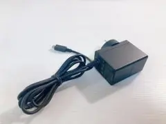 ニンテンドースイッチ Switch 充電ACアダプター　海外