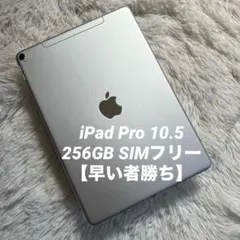 即日発送★iPadAir5★Wi-Fi・セルラー共通★タッチパネル★LCD★ 即日発送☆iPadAir5☆Wi-Fi・セルラー共通☆タッチパネル☆LCD