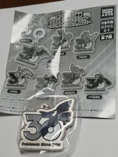 ポケモン30周年メタルチャームマスコット　ゼクロム