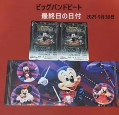 期限切れ　リゾートラインフリー切符　ビッグバンドビート　同柄2枚　BBB　最終日
