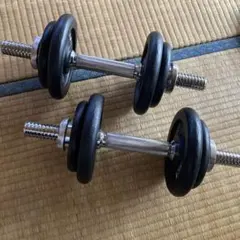 【手渡し】アイロテック10kg×2のサムネイル