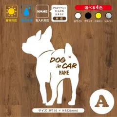 Item thumbnail for item 554d4155-c4b2-4a50-8b0e-3311c0f79fc8