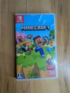 minecraft switch ソフト