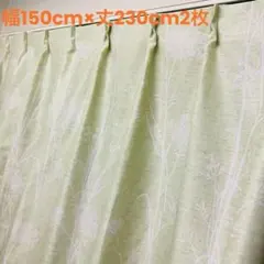 ボタニカル柄 ドレープカーテン ライトグリーン　幅150cm×丈230cm2枚 ボタニカル柄 ドレープカーテン ライトグリーン 幅150cm×丈230cm2枚