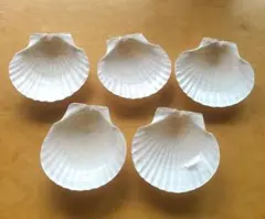 Item thumbnail for item d06b1768-eadd-4e15-9808-03f44d579fb3