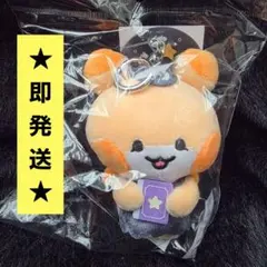 ホンジュン MIGHTEEZ Wonder Room シュシュ ぬいぐるみバンド - メルカリ