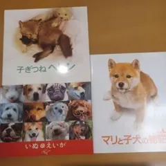 子ぎつねヘレン 、いぬのえいが 、マリと子犬の物語 　映画パンフレット3冊セット