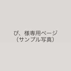 ぴ、様専用　ファンキャップ