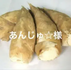 あんじゅ☆様　京都山城産　朝掘り筍4kg