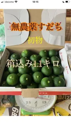 やま☆プロフご覧下さいね☆専用 農薬不使用　スダチ5kg 小ぶりスダチ約300個 やま☆プロフご覧下さいね☆専用 農薬不使用 スダチ5kg 小ぶりスダチ約