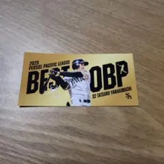 Item thumbnail for item b1cec11e-2e94-4ca7-bafc-582f3efd2abf