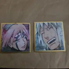 か*の様 NARUTO 色紙 2枚セット