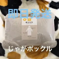 Item thumbnail for item adc2cfd1-1e37-47cd-87a1-5b009b52ca14