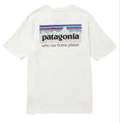 patagonia オーガニックコットン Tシャツ M P-6 37529