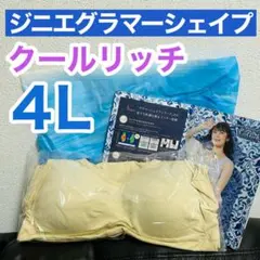 2026年最新】ジニエ グラマーシェイプクールリッチ 3lの人気アイテム