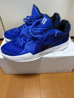 サブリナ1 オールブラック 29cm NIKE BY YOU - メルカリ