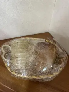 Item thumbnail for item bced8f95-b4b7-4a2e-bd7d-6f138d1acc3f