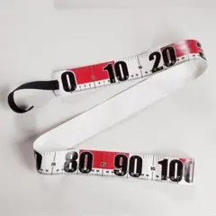 Item thumbnail for item e89290b0-1665-4f8c-99e6-0af1ef523c81