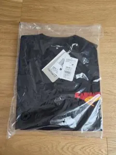 【新品未使用品】 Carhartt ブラック Tシャツ Mサイズ ユニセックス