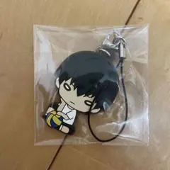 ハイキュー　にとたん　ラバーマスコット　ラバスト　全日本ユース強化合宿　影山