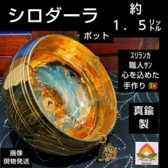 2025年最新】シロダーラポットの人気アイテム - メルカリ