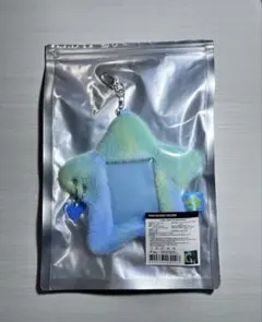 StrayKids dominATE celebrATE フォトカードホルダー