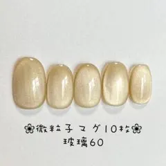 【即購入ok】マグネットネイルチップ　ショートオーバル　ニュアンス　玻璃60