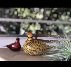 新品未使用 ittala サマーグロースライチョウ バードバイトイッカ 箱あり イッタラ / ittala バードシリーズ Kesäriekko サマーグロース