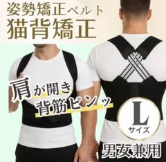 【猫背矯正姿勢サポーター】姿勢補正 背筋ベルト 男女兼用 肩甲骨サポート