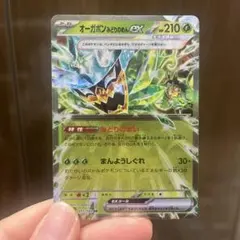 ポケモンカード オーガポンみどりのめんex