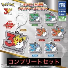 ポケモン30周年メタルチャームめじるしアクセサリー7種コンプリートセット