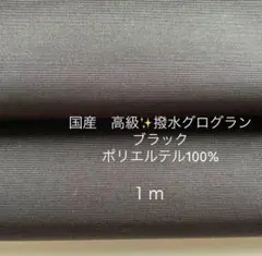 Item thumbnail for item 45e6442b-b512-48fc-97b7-967bd0b83e95