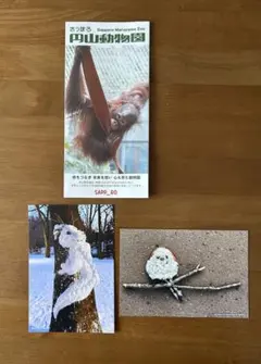 Item thumbnail for item 563a516e-3e26-4ba4-aa71-d5676a0594da