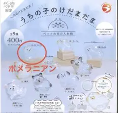 【⭐️セットでお得】うちの子のけだまだま　犬のけだまだま　【ポメラニアン】