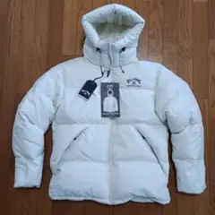 Item thumbnail for item 6e327a32-f375-46b5-bdd3-1df0953234df