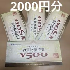 YAMADA HLDGS. お買物優待券 4枚セット ¥2000分