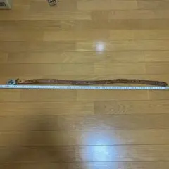 ビンテージレザー ベルト　彫刻ベルト