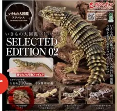 いきもの大図鑑アドバンス アルマジロトカゲ(新色) カプセル版 - メルカリ