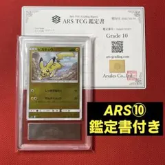 2025年最新】ピカチュウ カード ars10の人気アイテム - メルカリ