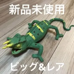 ジャクソンカメレオン