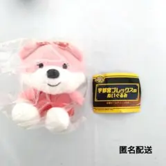 宇都宮ブレックスのぬいぐるみ　ベリーちゃん