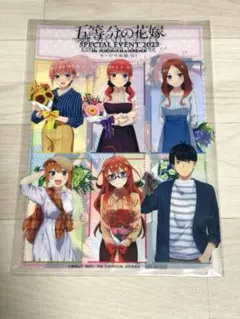 五等分の花嫁 クリアファイル SPECIAL Event 横浜アリーナ 新品