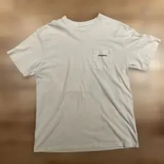 patagonia Tシャツ 胸ポケット付き　バックプリント