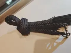 Item thumbnail for item 65bdeda4-79a4-4f4a-82e7-cebfe0e67dc1