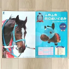オジュウチョウサン　たてがみ入りキーホルダー 0022 オジュウチョウサンたてがみ入りキーホルダー2025年バージョン