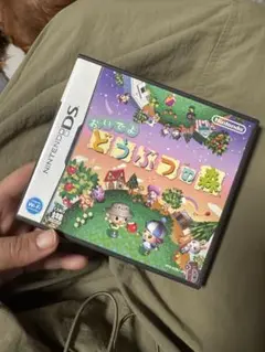 おいでよ どうぶつの森 Nintendo DS